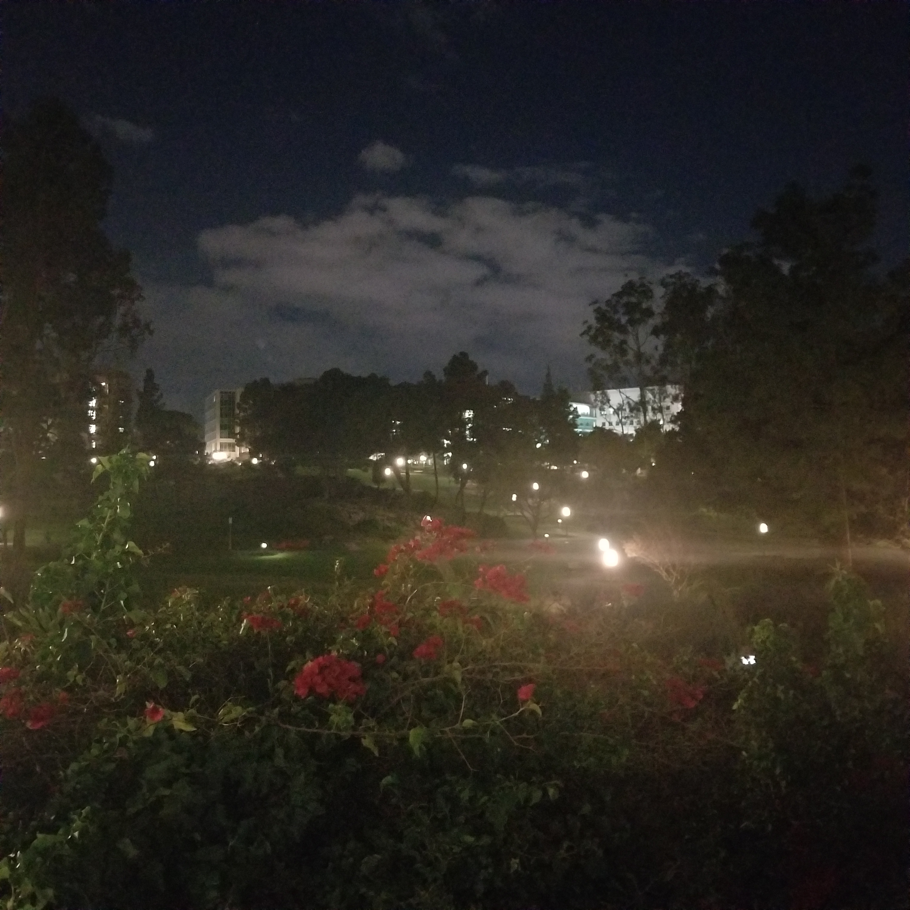 nighttime